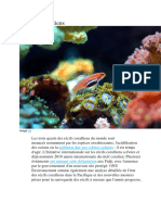 Récifs Coraliens: Pollution Due Aux Crèmes Solaires