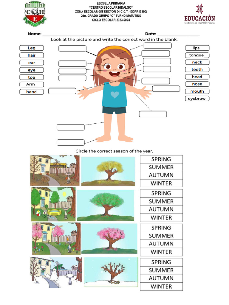 examen de inglés para 2 grado de primaria | PDF