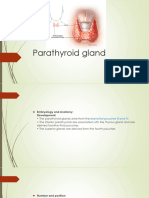 2 - Parathyroid Gland