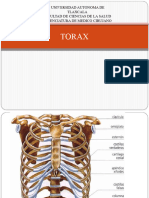 Torax 110110143541 Phpapp02