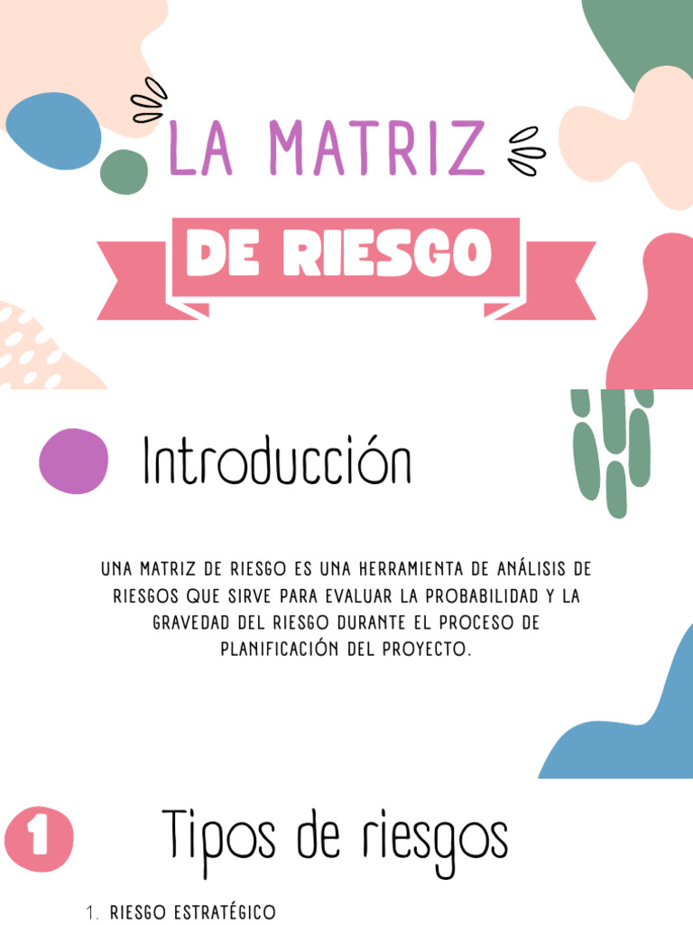 Matriz de Riesgos | PDF | Riesgo | Probabilidad