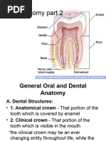 Surfaces of Teeth Explained | PDF | Dental Anatomy | Tooth