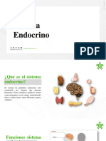 Diapositivas Sistema Endocrino