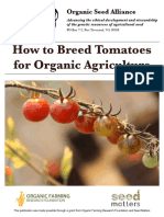 Breeding Tomatoes OSA 1 1