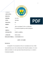 Consulta 6 - Topografia 1