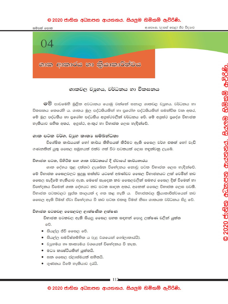 Unit 04-Plant Form and Function | PDF