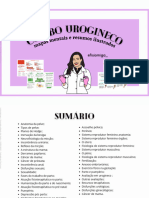 Urogineco 2