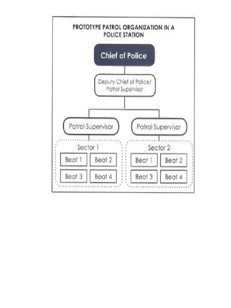 Prototype patrol organization pdf
