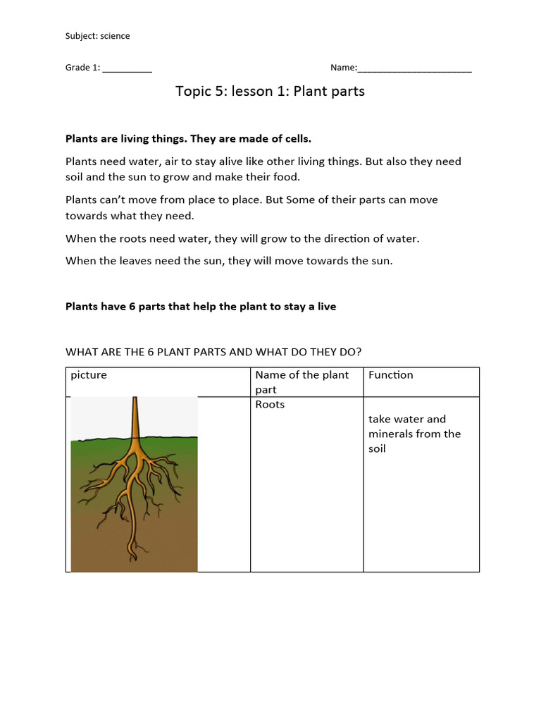 KpJ9sI HMW 1631762265 Topic 5 Lesson 1 Summery - Part 2 | Download Free ...