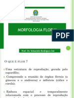 2 Morfologia Floral