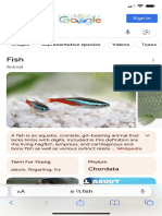 fish - Google Search