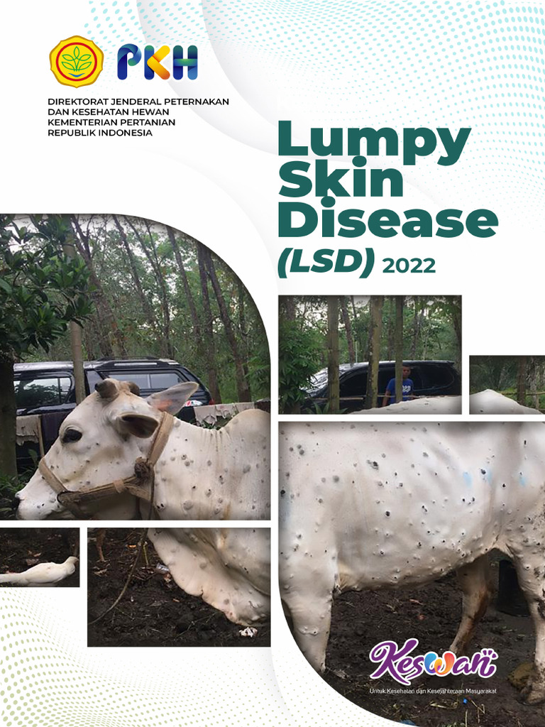 Rencana Kontingensi Lumpy Skin Disease | PDF