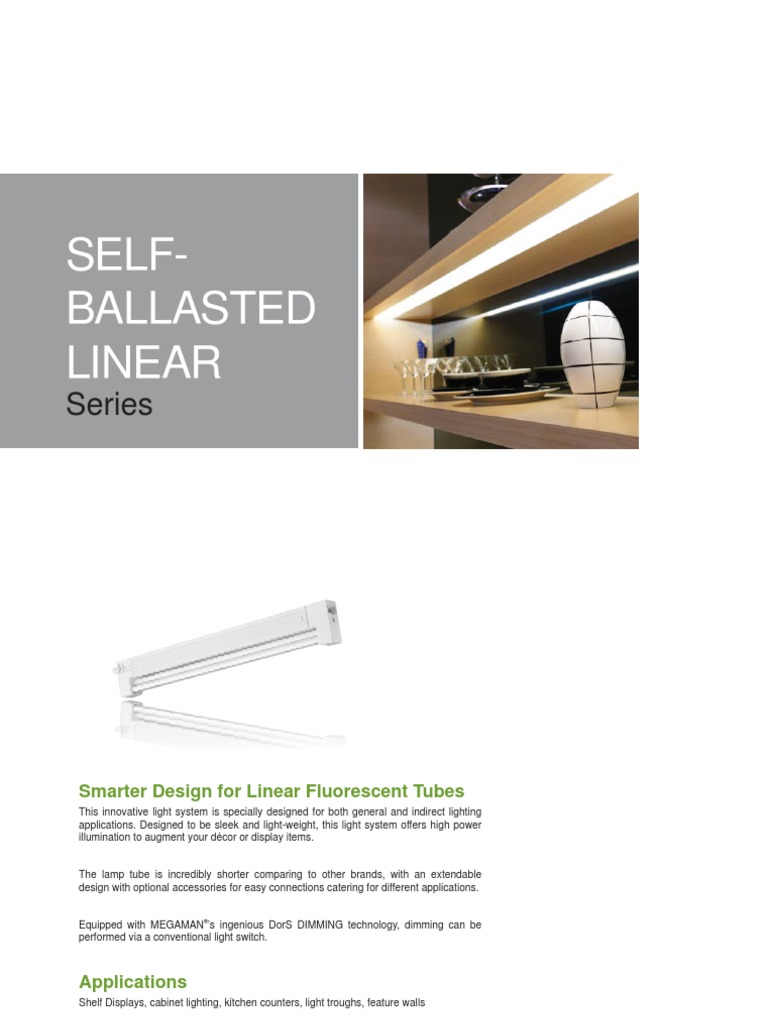 02 Self Ballasted | PDF | Fluorescent Lamp | Lighting