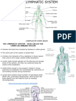 OLLI - The Lymphatic System