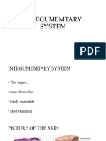 Integumemtary System