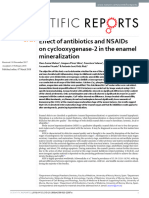 Effect of Antibiotics and NSAIDs On Cyclooxygenase-2 in The Enamel Mineralization