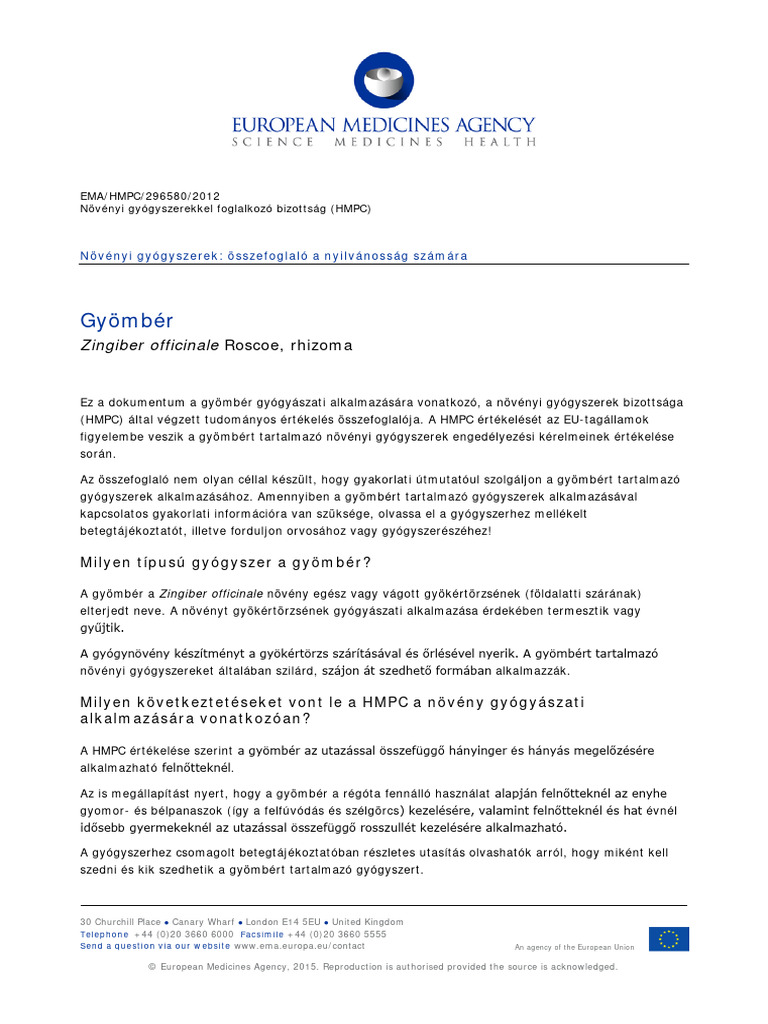 Ginger Summary Public Hu PDF