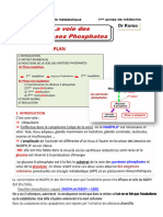 3 Voie Des Pentoses Phosphates