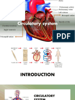 Circulatory System Class 5
