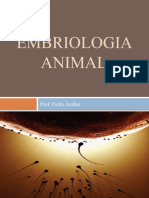 Embriologia Animal: Prof. Pedro Jardim