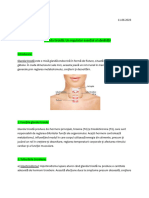 Tiroida-Proiect Biologie