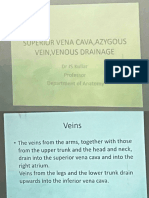 Superior Vena Cava , Azygous Vein 21 Dec 2023