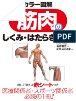 (石井直方) カラー図解 筋肉のしくみ・はたらき事典