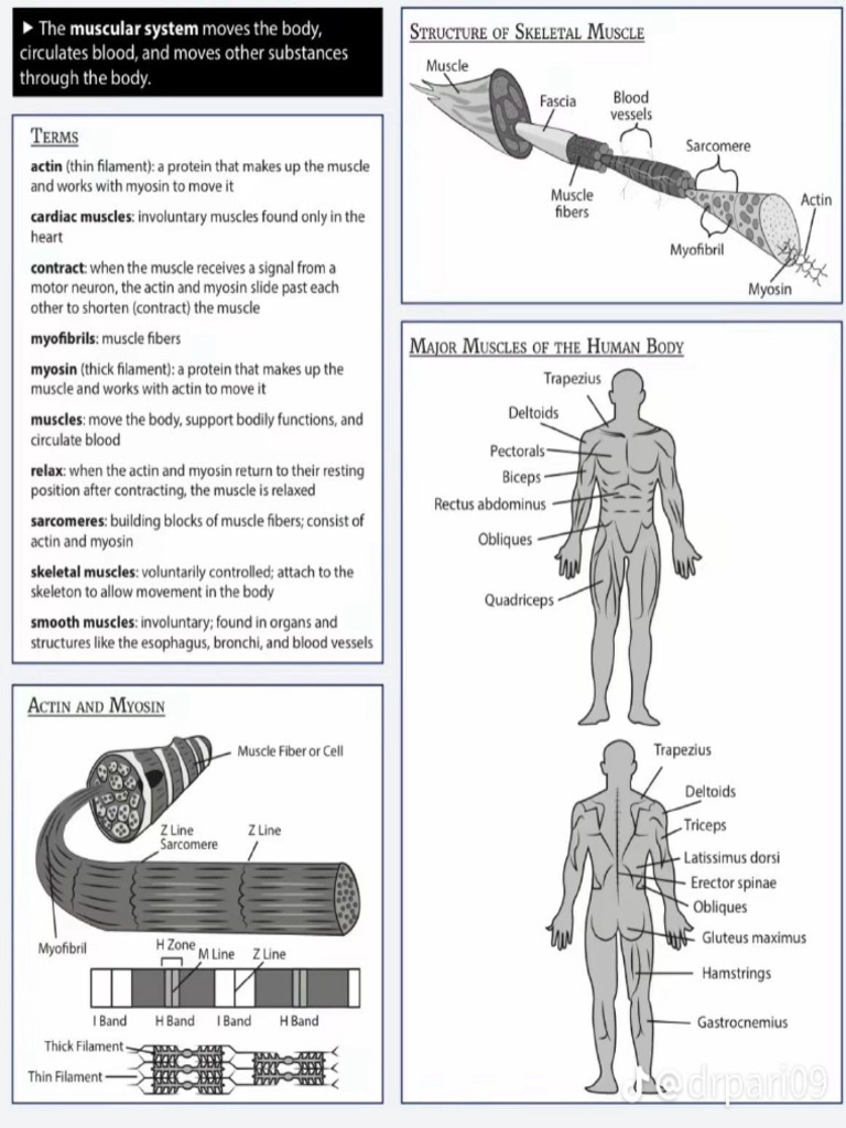 Human Note | PDF