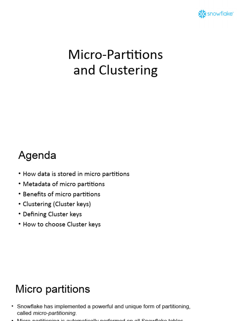 5.MicroPartitions and Clustering PDF Cluster Analysis Metadata