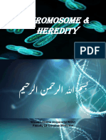 Chromosome and Heredity Presentation Slide