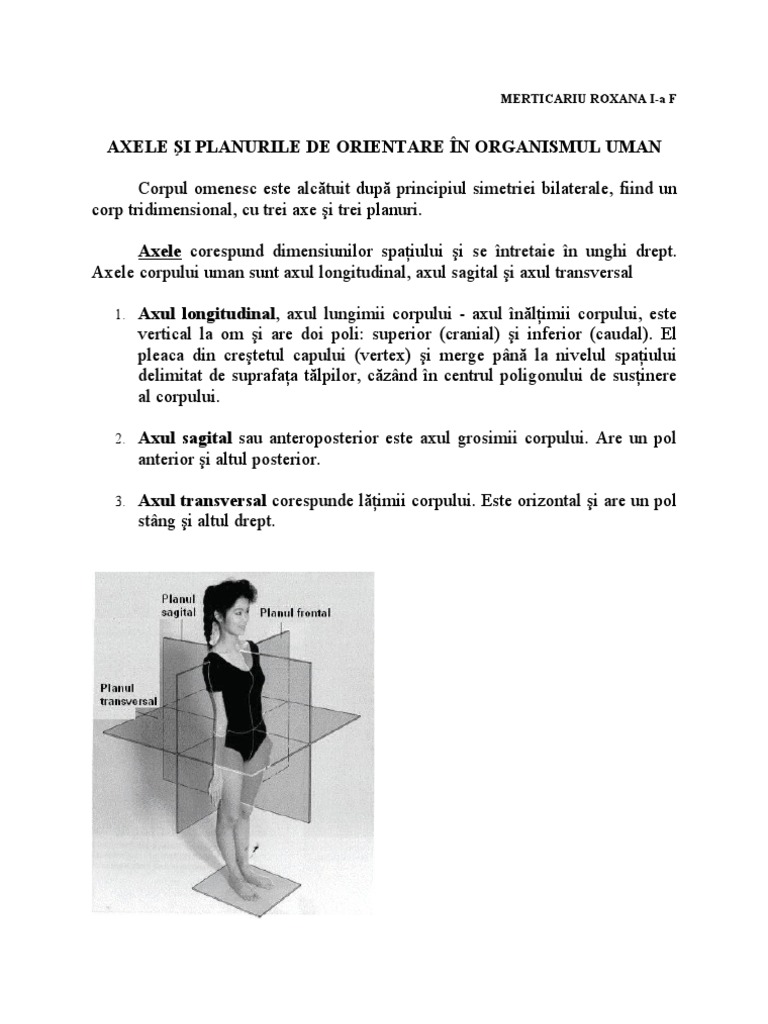 Axele Şi Planurile de Orientare În Organismul Uman | PDF