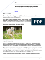 Role of Gluten in Canine Epileptoid Cramping Syndrome