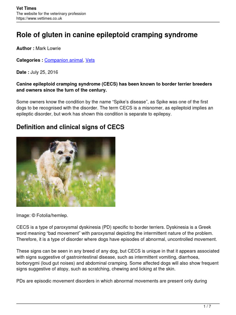 Image showcasing Role of Gluten in Canine Epileptoid Cramping Syndrome | PDF | Gluten ...