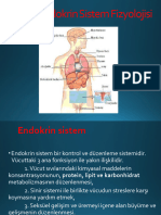 11-SBF-Endokrin Sistem Fizyolojisi 2021