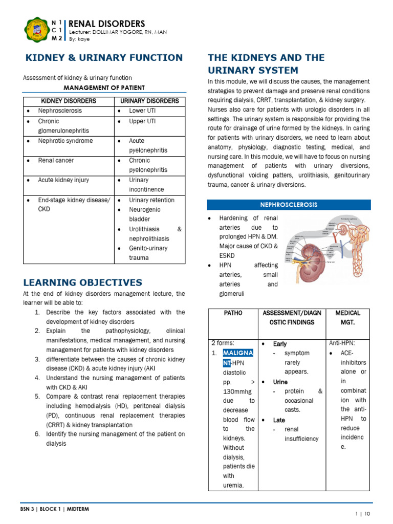 Renal Disorders NCM 112 | PDF | Kidney | Chronic Kidney Disease