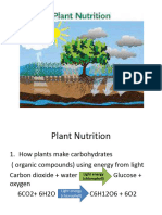 Plant Nutrition