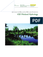 Wetlands 20hydrology