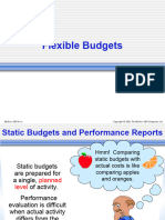Flexible and Static Budget