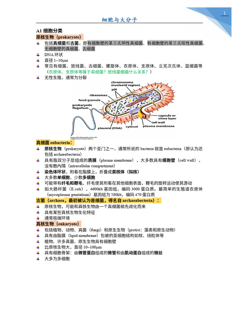 分子生物学-现代生物学精要速览中文版| PDF, image size:768x1024