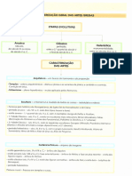 Esquemas HCA