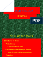 Bones of The Skull (Autosaved)