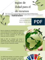 Estrategias de Sustentabilidad para El Manejo de Recursos Naturales