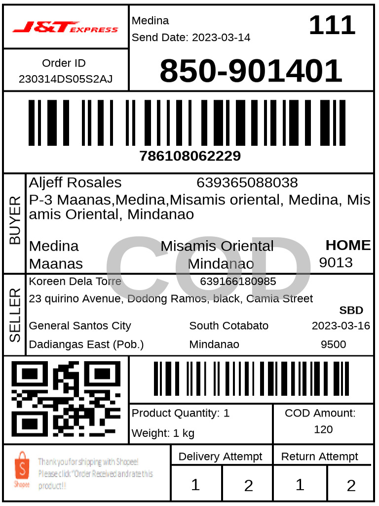 Little Mushroom Vol 1 | PDF