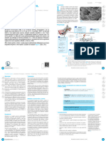 Prevención y Control: Bordetella Bronchiseptica