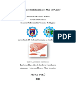 Informe de Anatomía Comparada N°03 - Sistema Muscular en Vertebrados