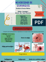 Exposición Grupo 3