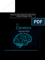 O Cérebro Aprendiz. Neuroeducação e Aspectos Da Aprendizagem Baseada No Cérebro