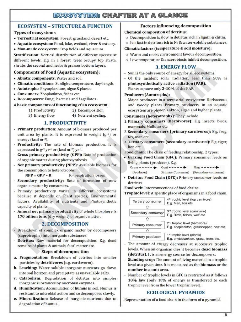 Download Capsule Notes Now | PDF