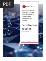 Penetration Testing Service Data Sheet