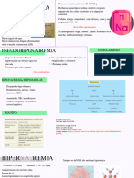 Alteraciones Hidroelectroliticas Na K CA MG